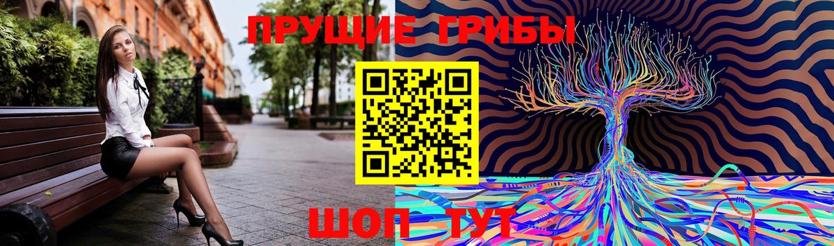 Галлюциногенные грибы GOLDEN TEACHER  Вход с VPN  продажа наркотиков  Кизляр 