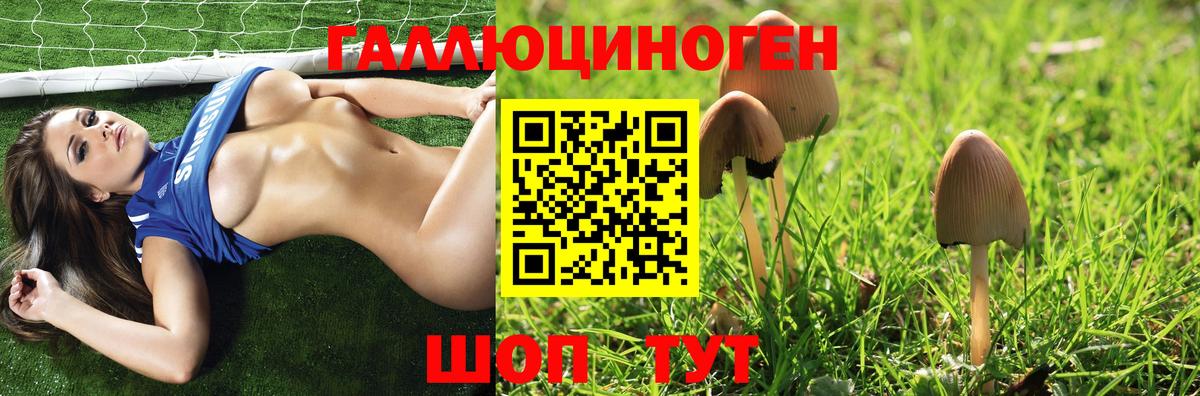 Галлюциногенные грибы GOLDEN TEACHER Кизляр